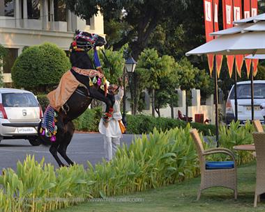 02 Hotel_Laxmi_Vilas_Palace,_Udaipur_DSC4268_b_H600